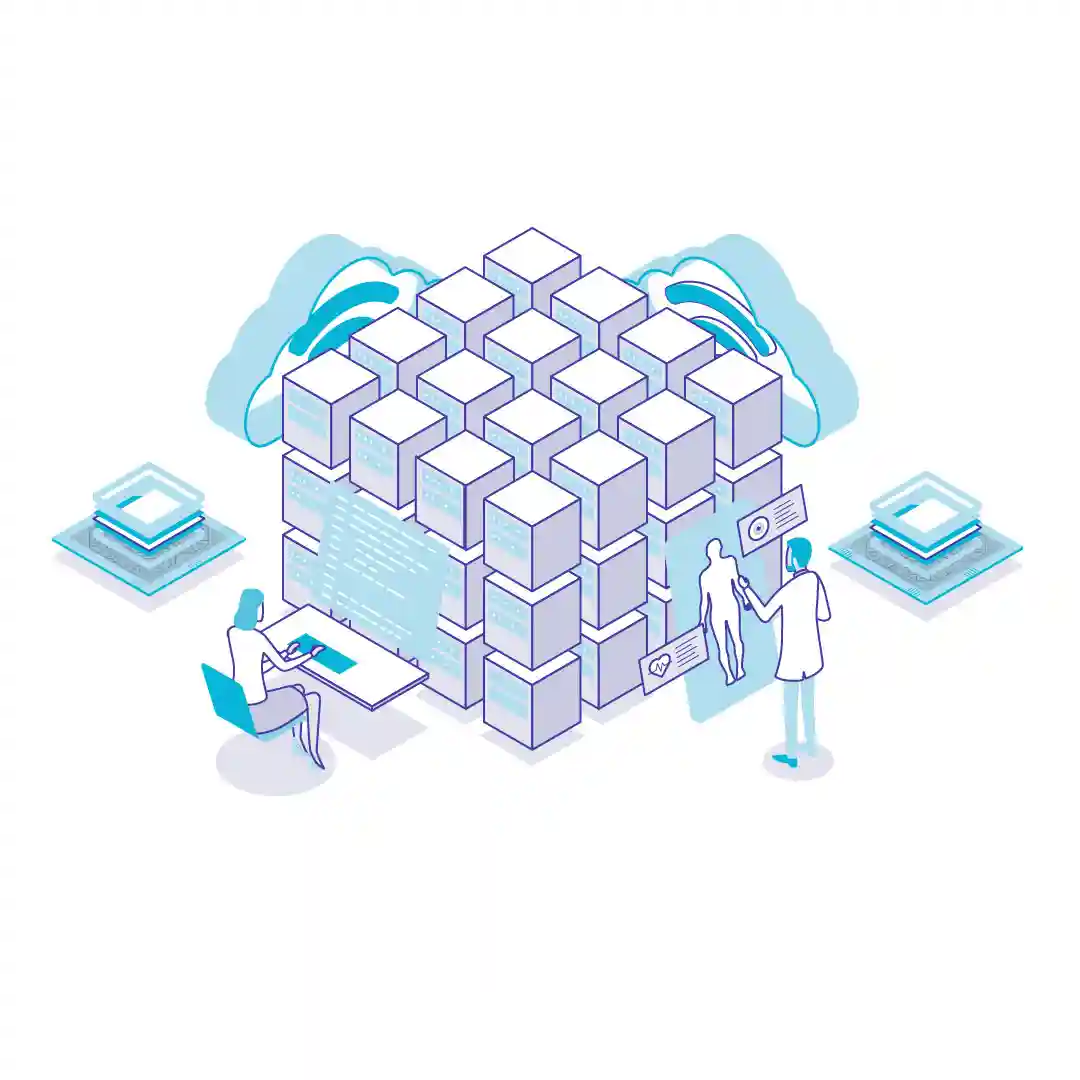 Strategies To Handle Interoperability Challenges